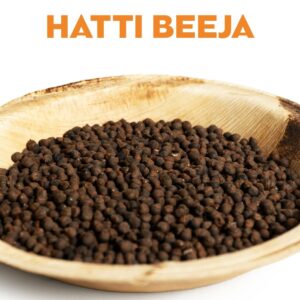 HATTI BEEJA