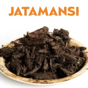 JATAMANSI