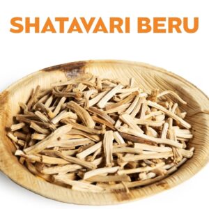SHATAVARI BERU